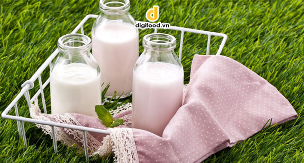 Skim milk là gì? Lợi ích của Skim milk với sức khỏe – Digifood