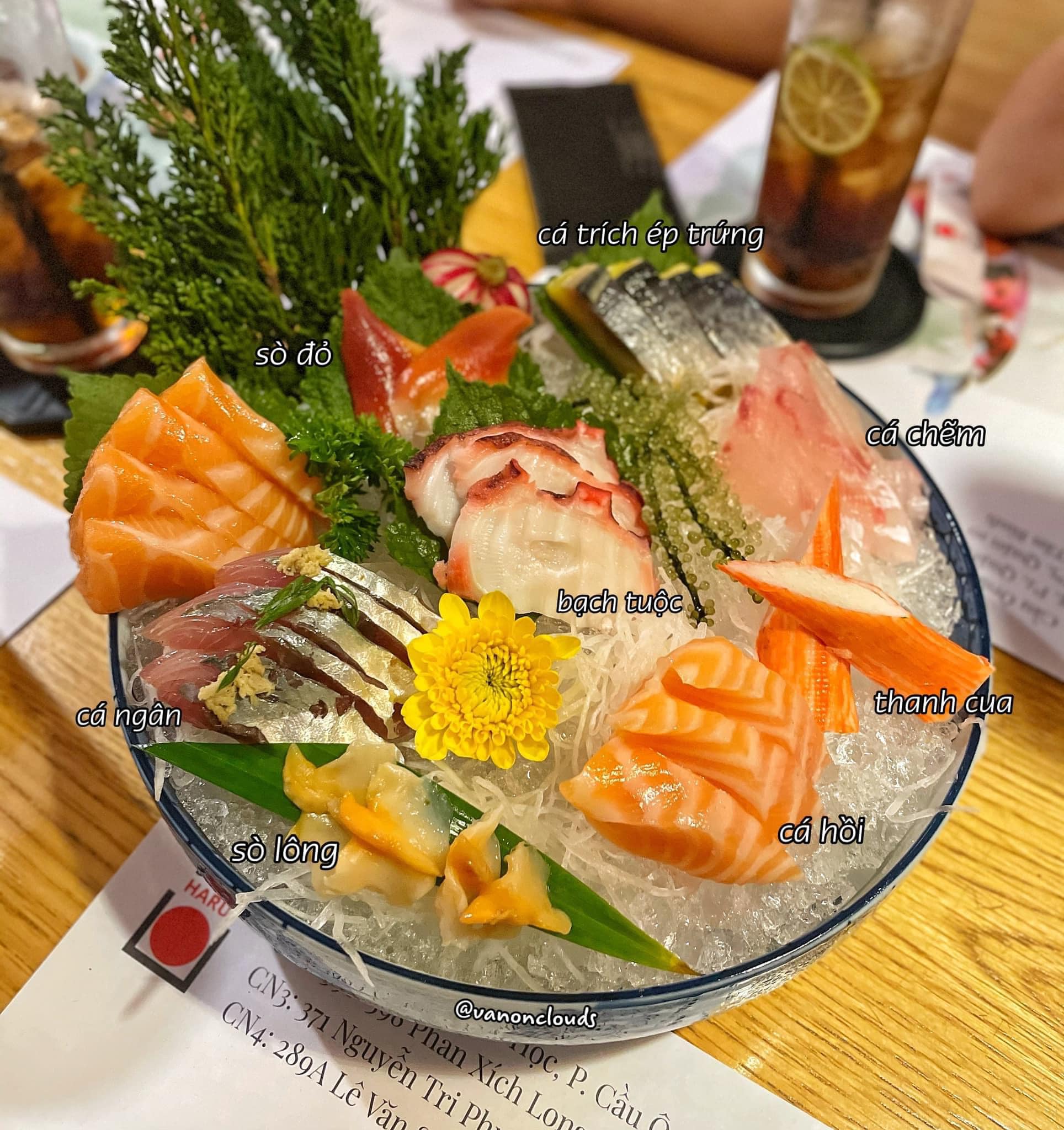 Haru Sushi 5